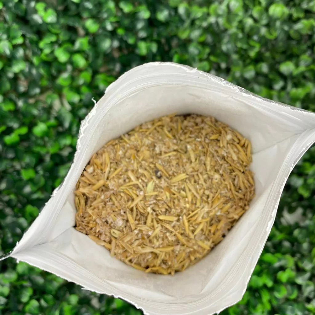 Adubo para Orquídeas e plantas Fortirriza (1 kg) - Todos os Nutrientes que Suas Plantas Precisam!