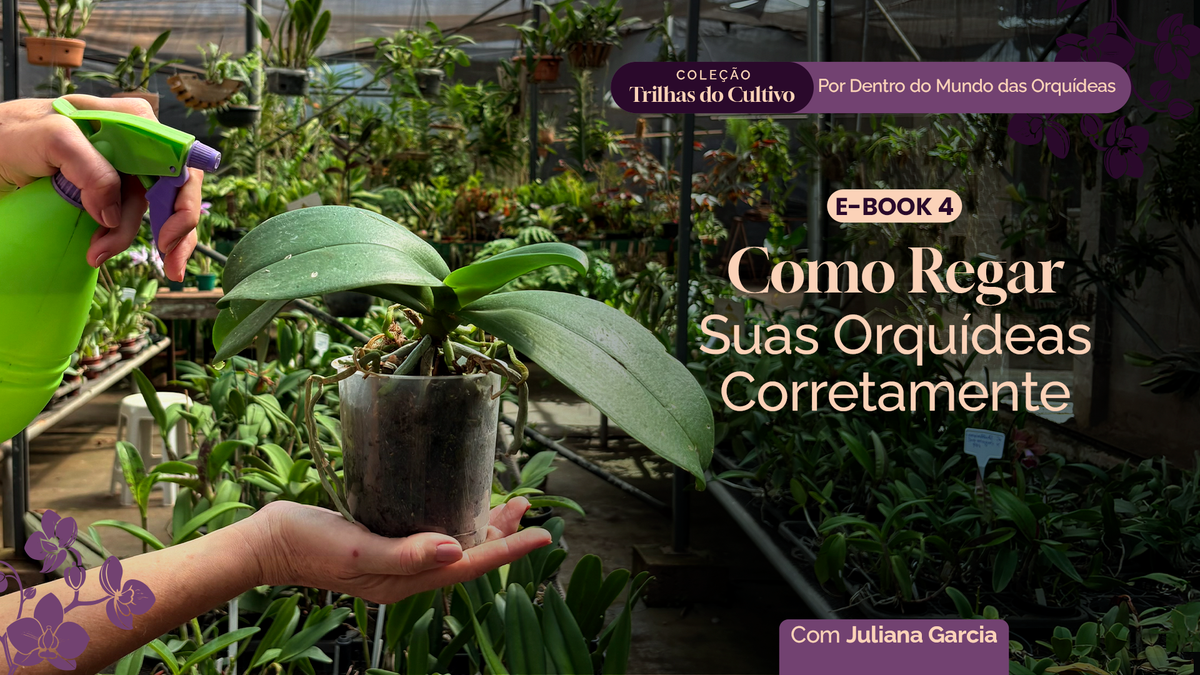 Trilhas do Cultivo - E-book 4: Como Regar suas Orquídeas Corretamente.