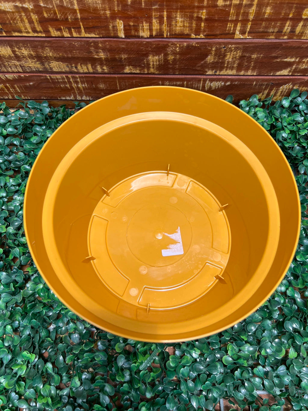 Vaso Bowl Vasat - 23 x 12 cm - Cor Ocre: Design Sofisticado para Decorar Seus Ambientes