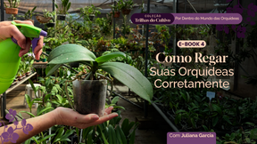 Trilhas do Cultivo - E-book 4: Como Regar suas Orquídeas Corretamente.